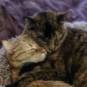 Meet your Posher, Shana